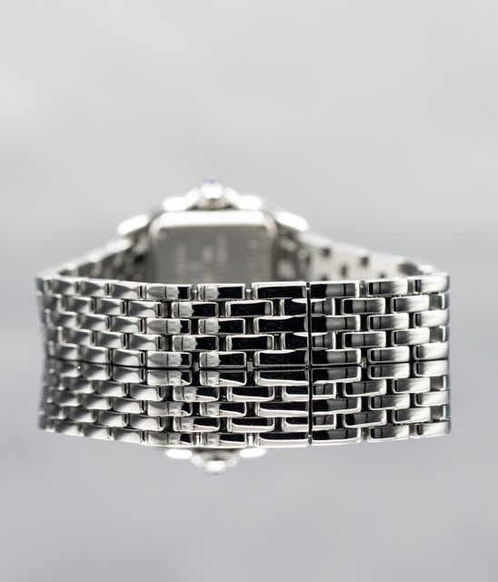 Cartier Panthere De Cartier WSPN0019 Image 3